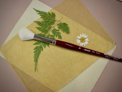 Glaze Brushes