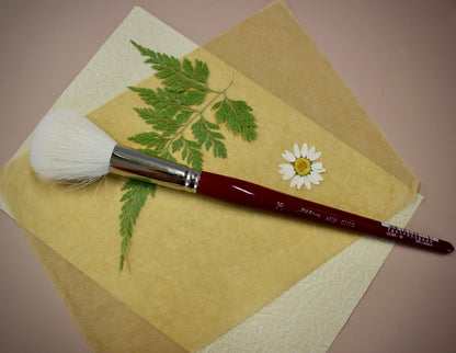 Glaze Brushes