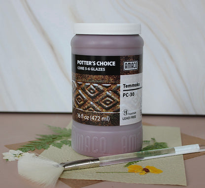 Potter’s Choice- Temmoku